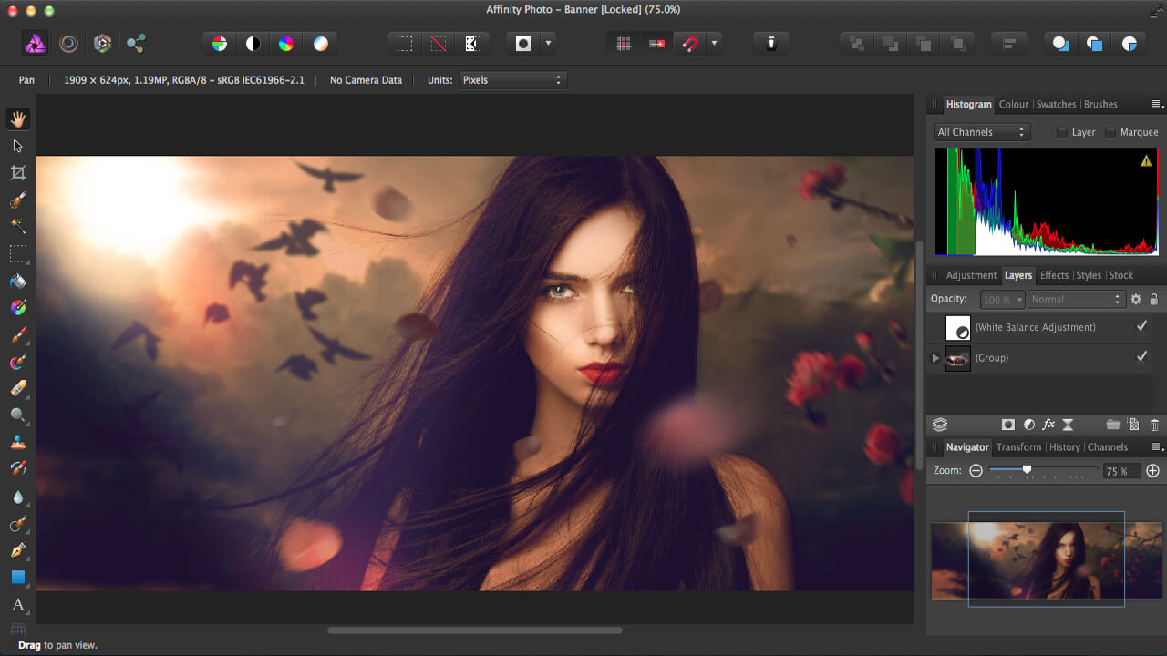 Serif Affinity Photo Serial